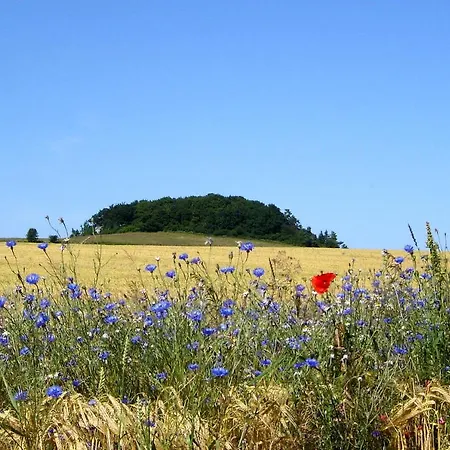 Modernes Mit Eigenem Garten Und Terrasse - Bauernrose 펜션 트렌트
