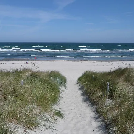 Modernes Mit Eigenem Garten Und Terrasse - Bauernrose *